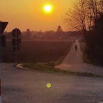 provokant anders: "Poller vor Abendsonne"